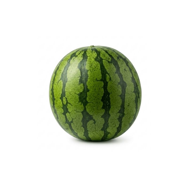 Sandia L'alcudia