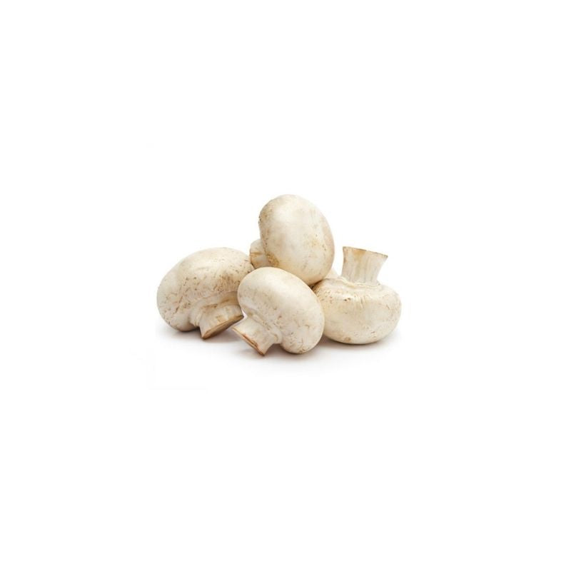 Champiñon