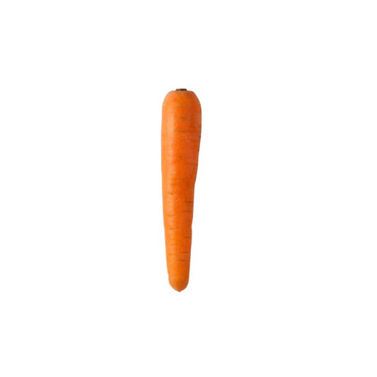 Zanahoria