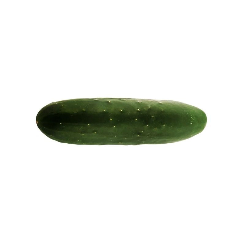 Pepino Moro