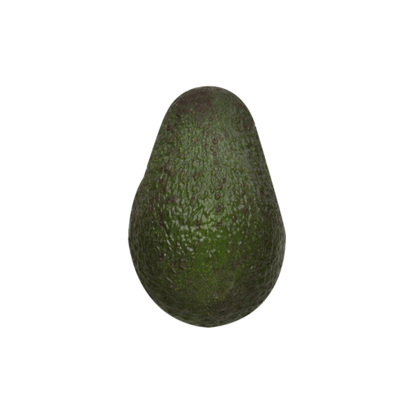 Aguacate