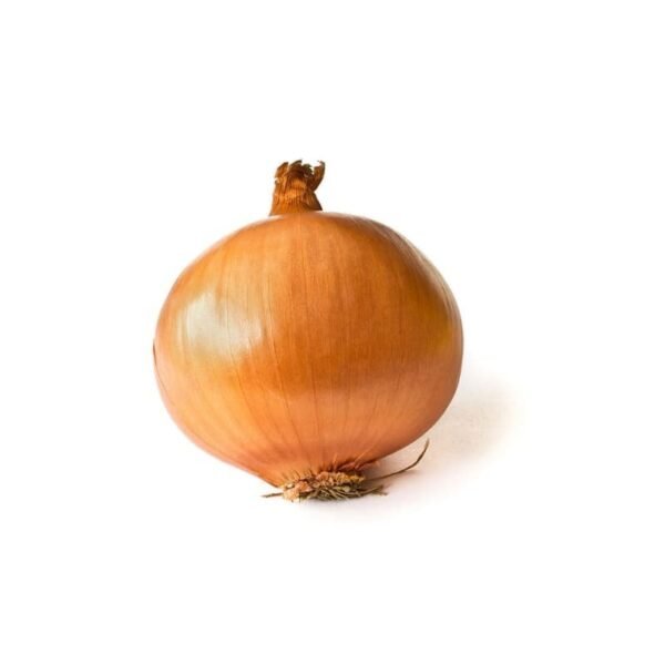 Cebolla