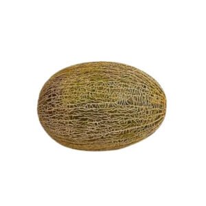 Melon Serpiente